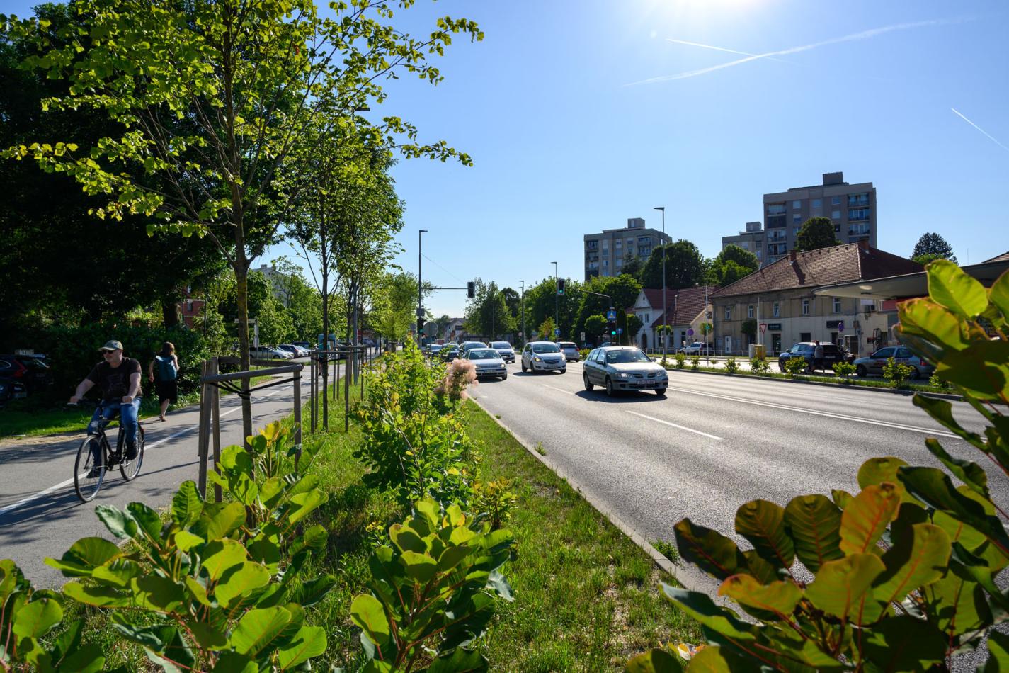 V Ljubljani