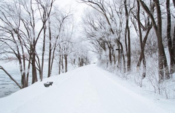 Plus in minus tedna: 05.02.2015